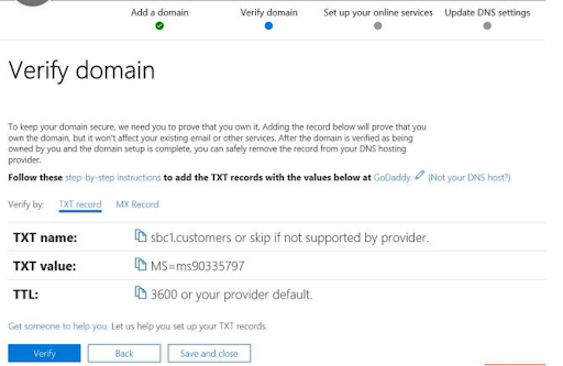 Information required to verify the domain. 